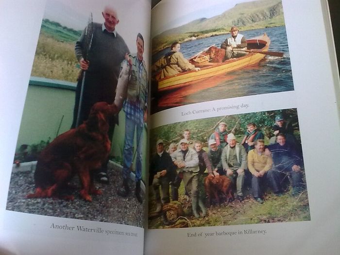 Gone Fishing Anecdotes of an angler by Denis O' Callaghan Ireland Irish