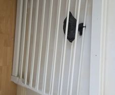 Baby gate