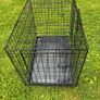 Dog Crate (M) Image 5