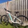 Trek Mountain Bike Image 6