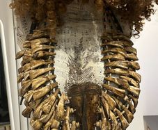 1 Museum Piece Buffalo Teeth Tribal Bib Necklace Rare Necklace Chest Piece