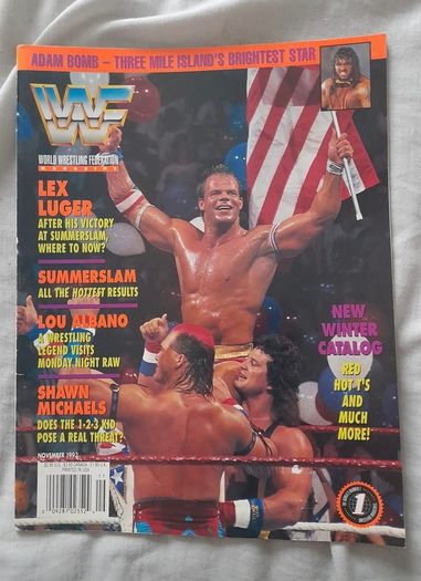 Wwf Magazines 1993