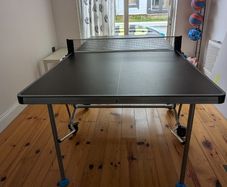Table Tennis table
