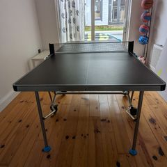 Table Tennis table