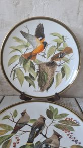 2 Decorative Plates "Songbirds of The World" Bohemian Waxwing And Baltimore Oriole