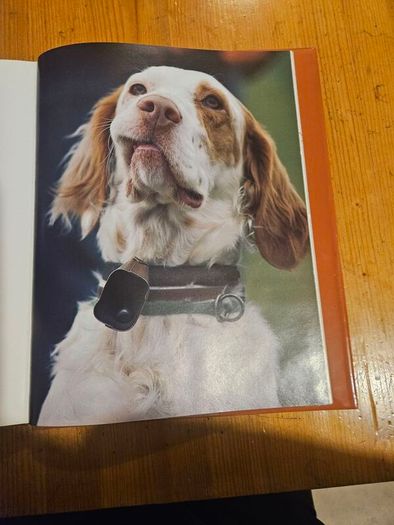 Just Dogs. A Literary And Photographic Tribut To The Great Hunting Breeds. First Edition Large Volume Hardback With Dustjacket In Good Condition.  See Photos For Same.