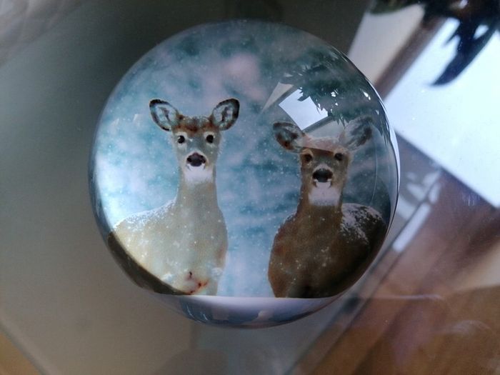 Paperweight