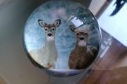 Paperweight
