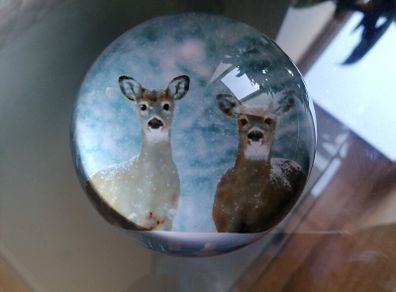 Paperweight