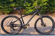 Carrera Vengeance Mountain Bike