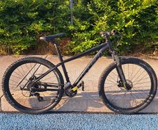 Carrera Vengeance Mountain Bike