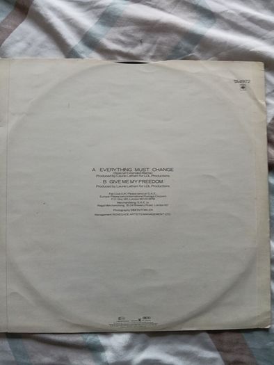 Everything Must Change  12" Vinyl Single  Paul Young