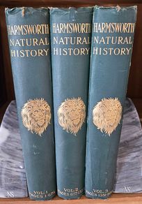 Harmsworth Natural History, 3 Volumes, Antique