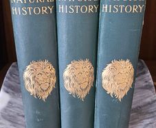 Harmsworth Natural History, 3 Volumes, Antique
