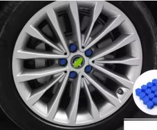 Car wheel nuts cover.