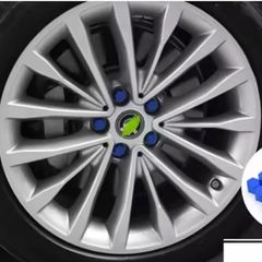 Car wheel nuts cover.