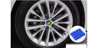 Car wheel nuts cover.