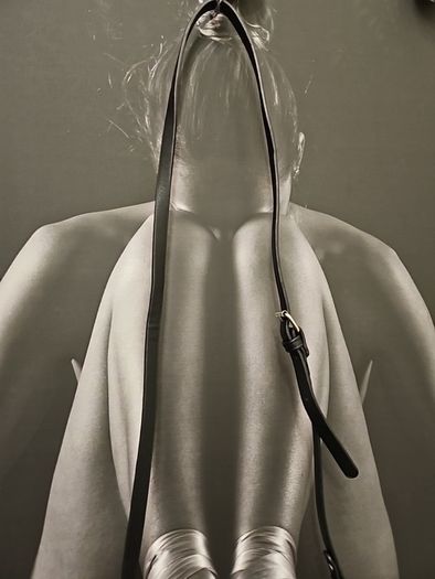 Stradivarius Bag