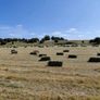 Square bales Image 2