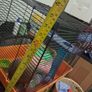 Hamster Cage Image 7