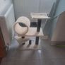 Cat Tree Image 2