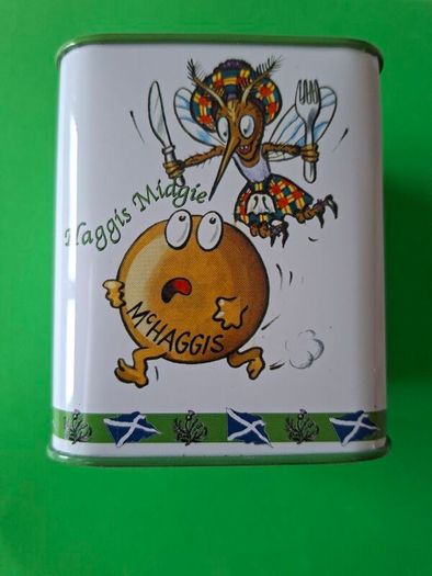 Metal Money Box