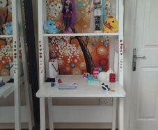 Shelving Ladder