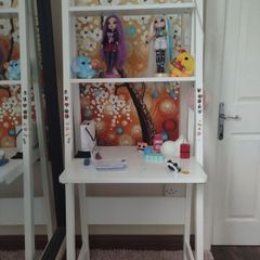 Shelving Ladder