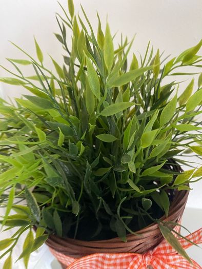 ShabbyChic Planter and Greenery