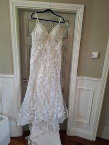 Cosmobella Wedding Dress
