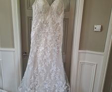 Cosmobella Wedding Dress