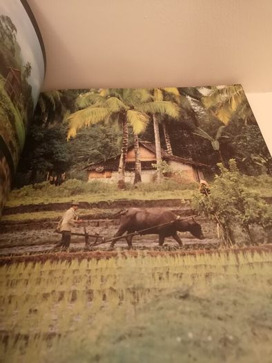 SALE! The Lure Of Faraway Places  Angelo Costalonga
