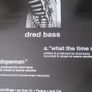 Dred bass What the time dred 12" Image 2