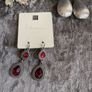 Earrings Image 3