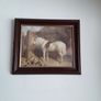 pictures Image 8