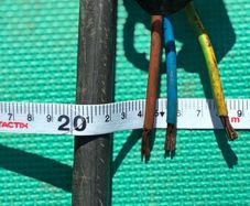 Armoured Cable 20 M