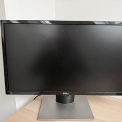 Dell 24 inch Monitor