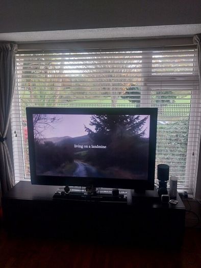 window blinds