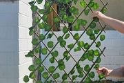 garden trellis