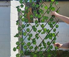 garden trellis
