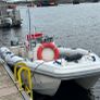 Ford Ranger thunder/ Cat Boat Image 7