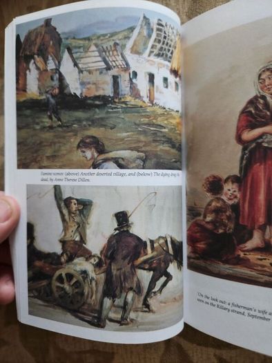 The Irish Famine. An Illustrated History By Helen Litton. First Edition Paperback In Good Condition.