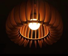 celling light