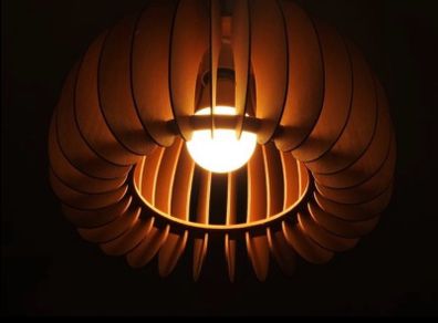 celling light
