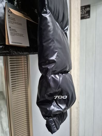Nort face jacket