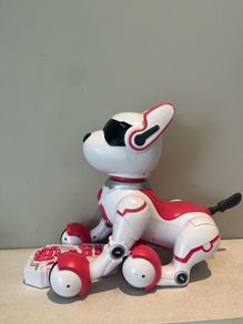 Zoey remote control robo dog