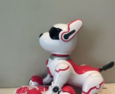 Zoey remote control robo dog