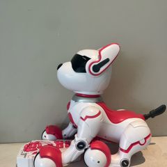 Zoey remote control robo dog