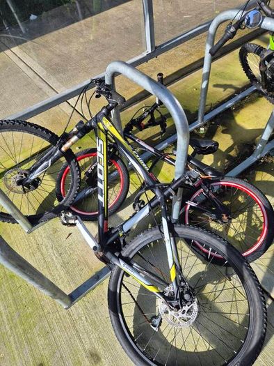 bikes for sale