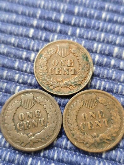 Indian head cents